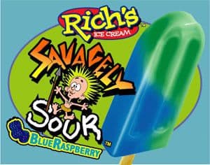 Fudge Bar - Rich's ice cream treat